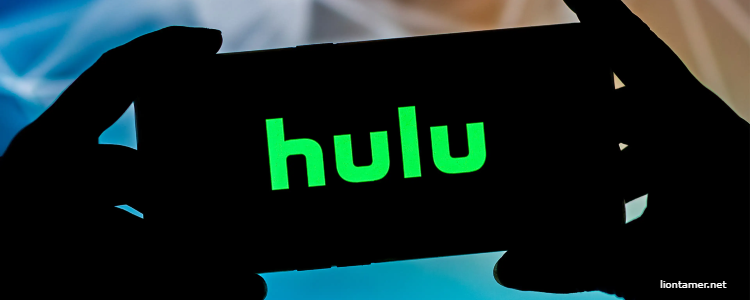 Hulu Service A Fusion of Live and On-Demand Entertainment